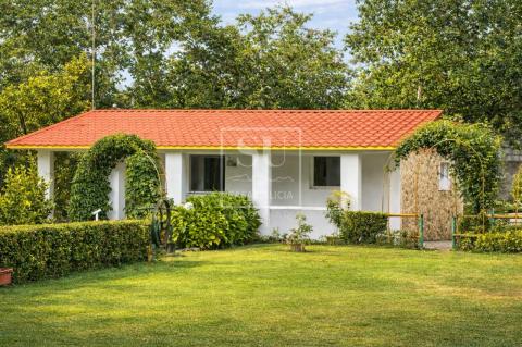 Singular finca con vivienda en planta baja y dos construcciones con infinitas posibiliadades.